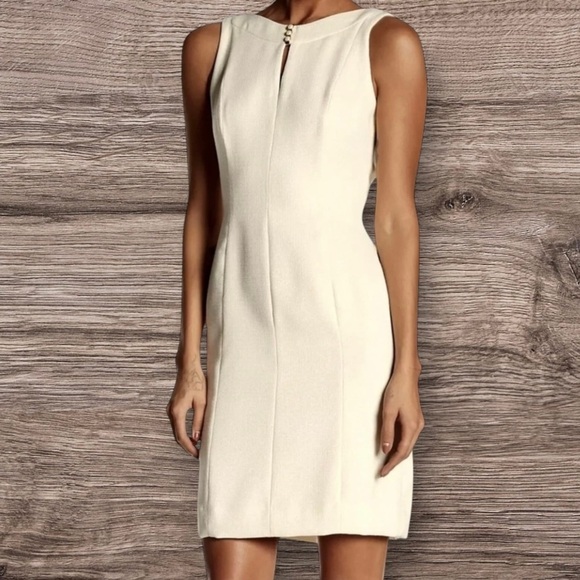 Tahari ASL Dresses & Skirts - TAHARI ASL Women’s Metallic Sheath Sleeveless Ivory Dress ~ Size 6 ~ NWT